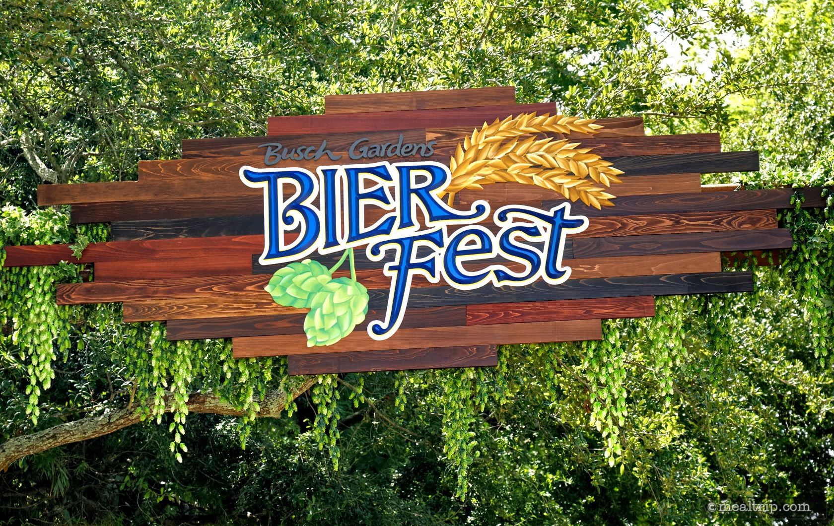 Photos From Bier Fest Menu Boards With Prices For 2018 Busch