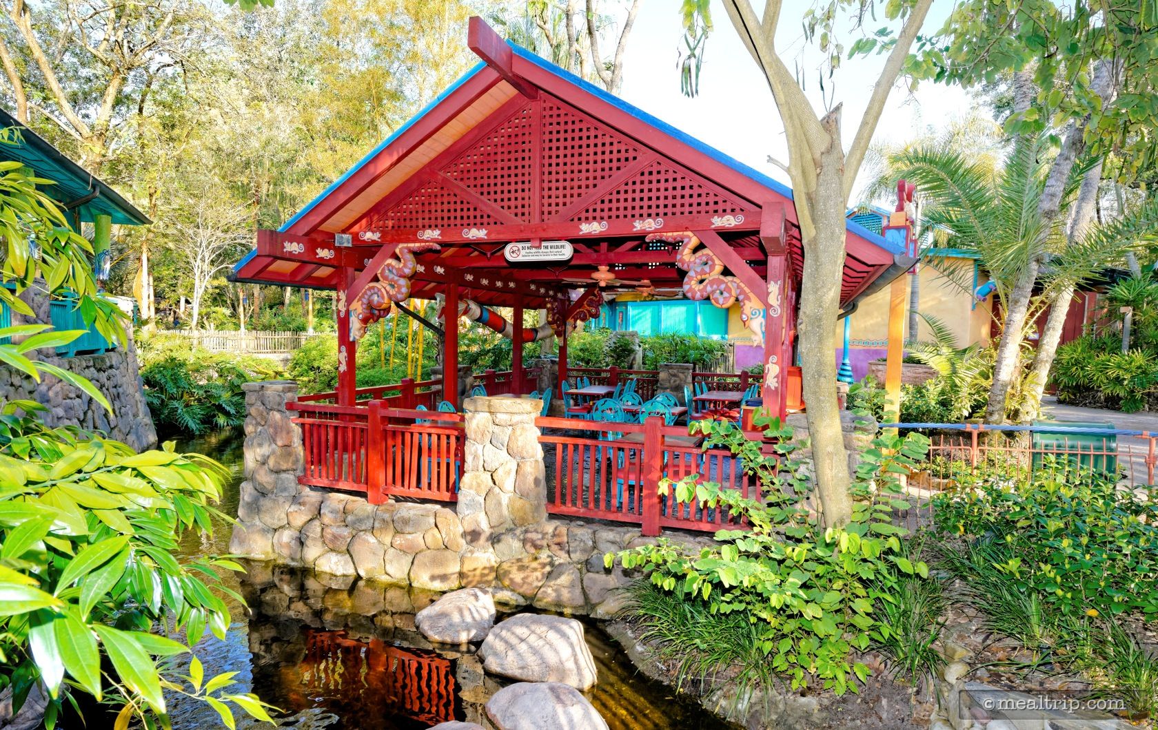 Photo Gallery for Flame Tree Barbecue at Animal Kingdom