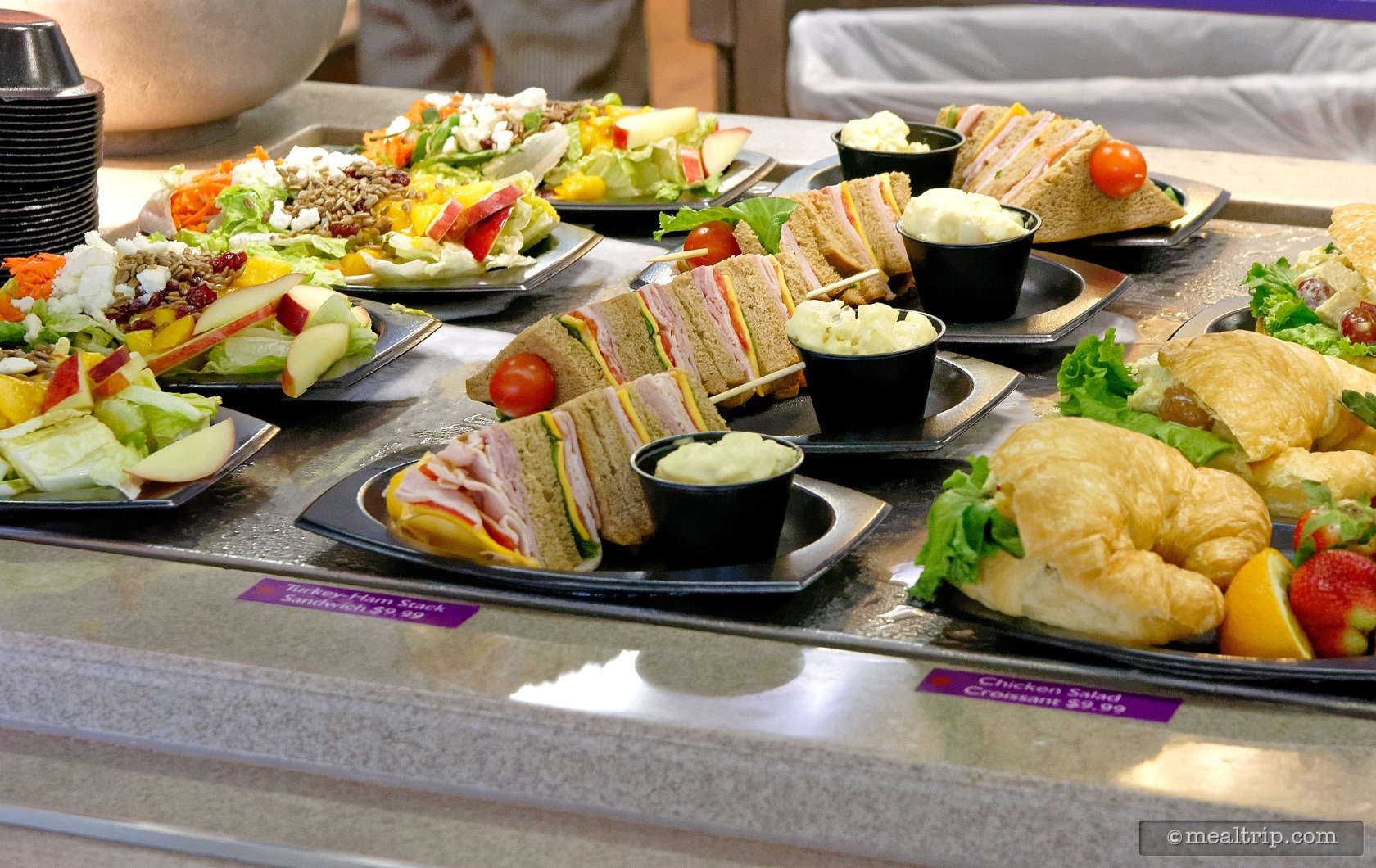 Photo gallery for mango joe s at seaworld orlando