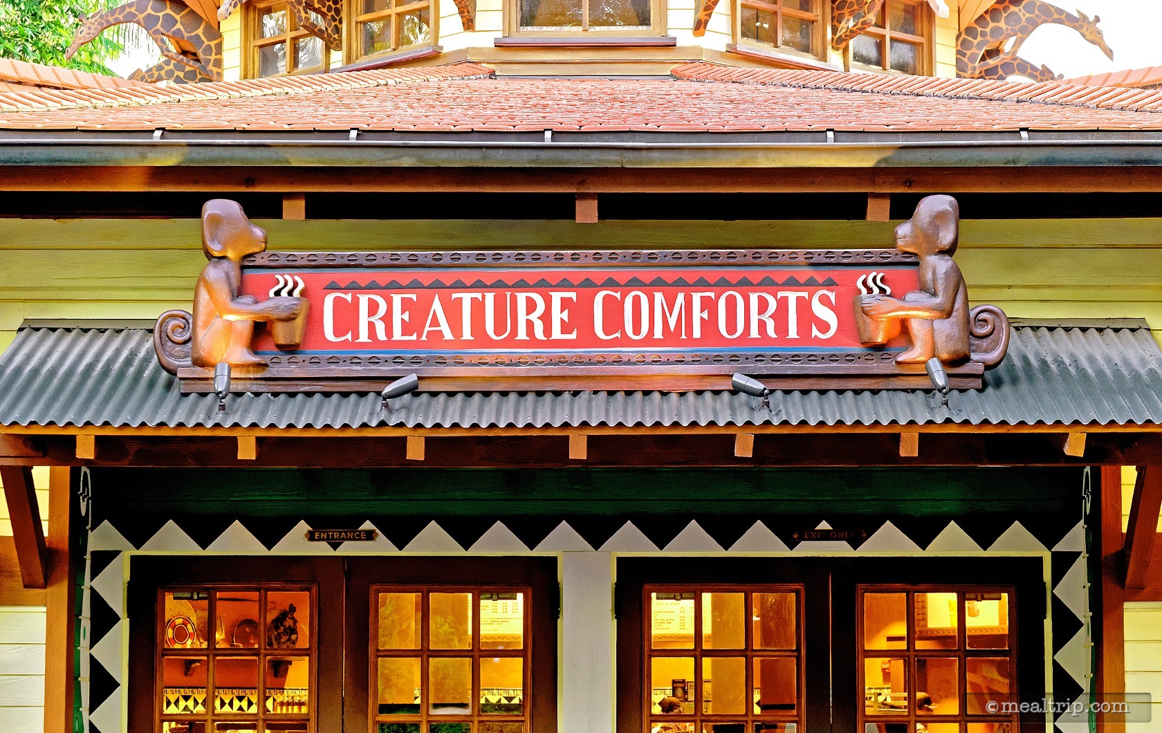 photo-gallery-for-creature-comforts-starbucks-at-animal-kingdom